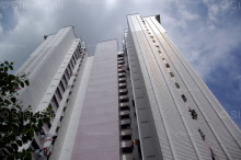 Blk 166 Gangsa Road (Bukit Panjang), HDB 5 Rooms #223952